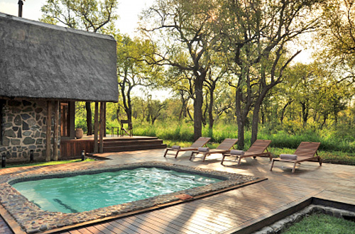 Pilanesberg Game Park Luxury Swimming Pool Black Rhino Game Lodge