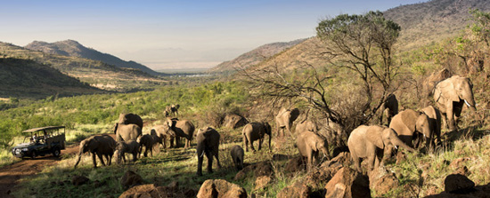 Accommodation Bookings for Kwa Maritane Bush Lodge. Big 5 Pilanesberg National Park Kwa Maritane Bush Lodge Accommodation Bookings Big 5 Pilanesberg National Park South Africa