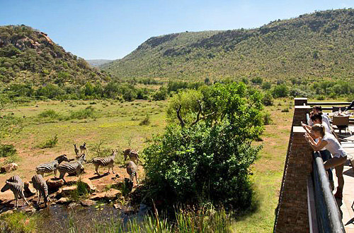 Kwa Maritane Bush Lodge Big 5 Pilanesberg National Park Kwa Maritane Bush Lodge Big 5 Pilanesberg National Park South Africa
