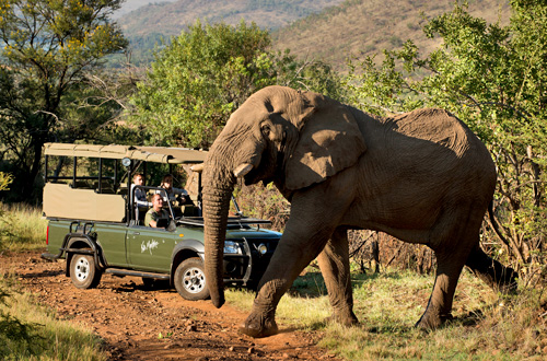 Kwa Maritane Bush Lodge Big 5 Pilanesberg National Park Kwa Maritane Bush Lodge Big 5 Pilanesberg National Park South Africa