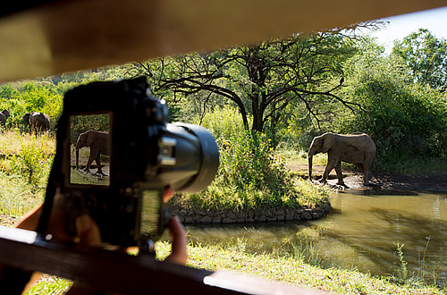 Kwa Maritane Bush Lodge Big 5 Pilanesberg National Park Kwa Maritane Bush Lodge Big 5 Pilanesberg National Park South Africa